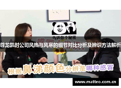 尊龙凯时公司风热与风寒的细节对比分析及辨识方法解析