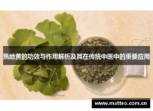 熟地黄的功效与作用解析及其在传统中医中的重要应用