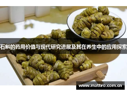 石斛的药用价值与现代研究进展及其在养生中的应用探索