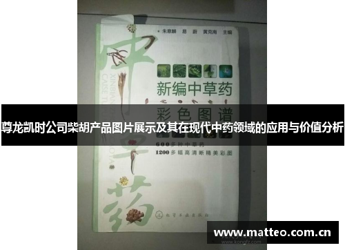 尊龙凯时公司柴胡产品图片展示及其在现代中药领域的应用与价值分析